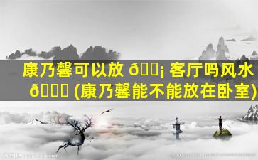 康乃馨可以放 🐡 客厅吗风水 🐎 (康乃馨能不能放在卧室)